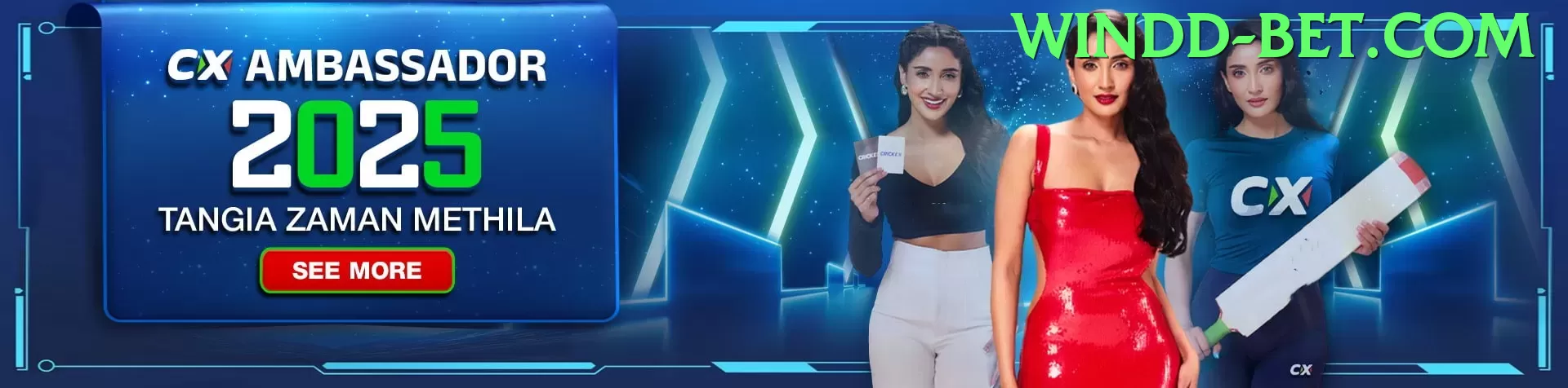 017brl Champion v4.8.1 Screenshot 2